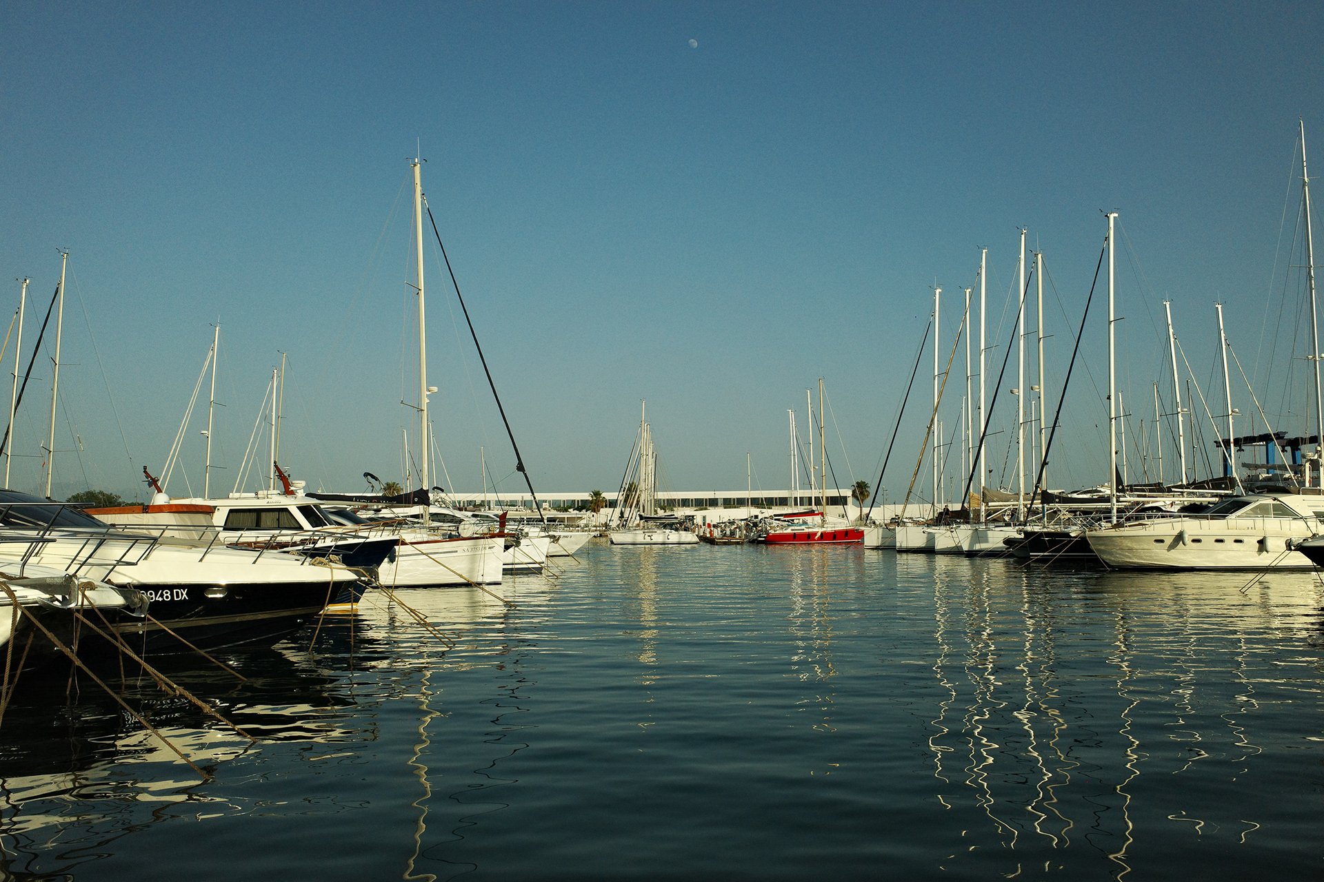 Marina filled with moored sailboats and yachts under a clear sky