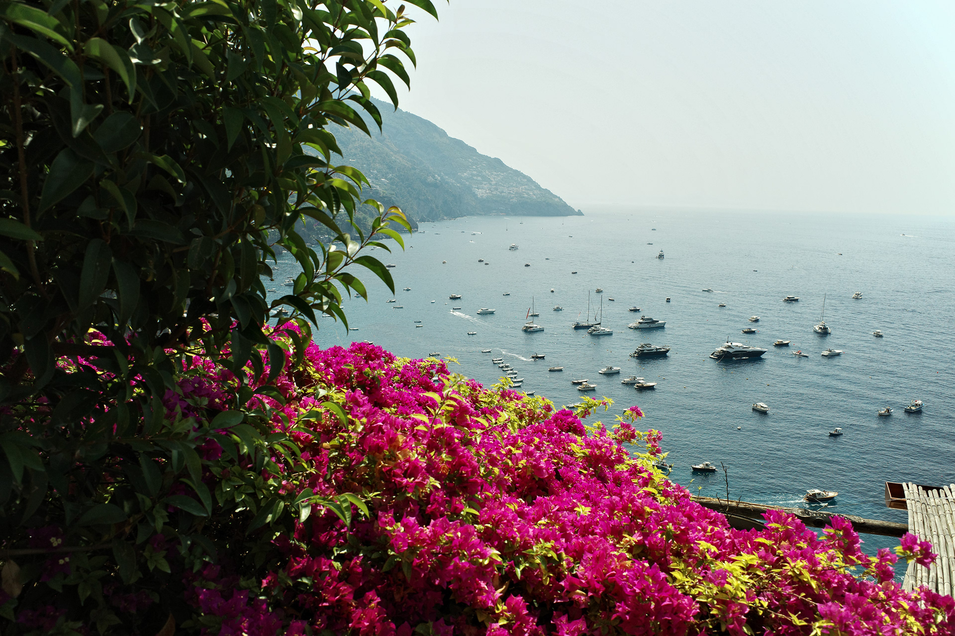 Bougainvillea in bloom above a bay full of sailboats and yachts